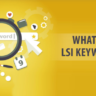 LSI Keywords